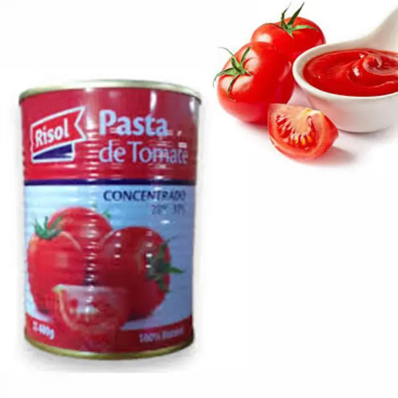 Puré de tomate pasta 400g(1 u)