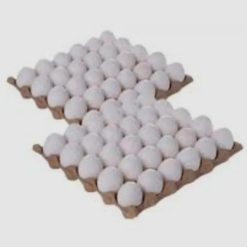 2 FILIS DE HUEVOS x 22 USD