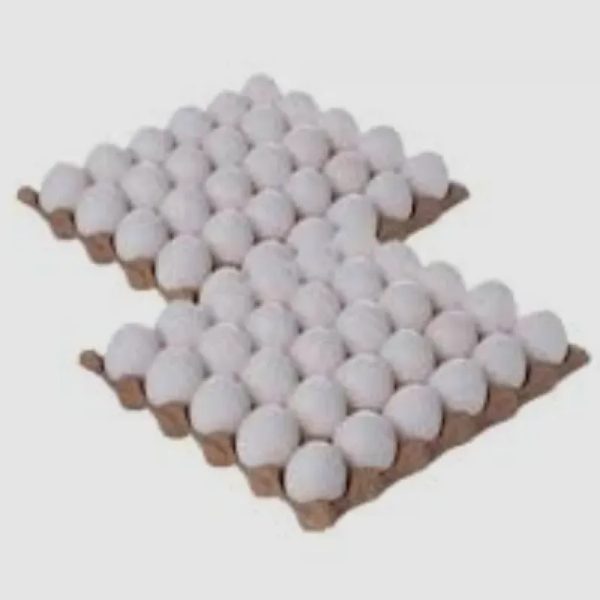2 FILIS DE HUEVOS x 22 USD