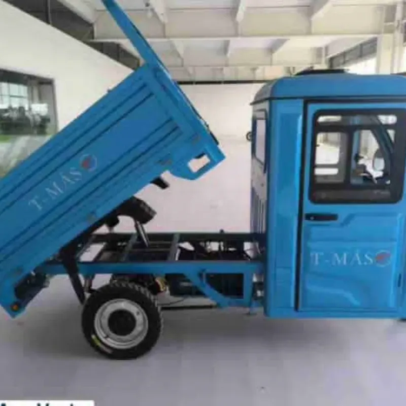 Triciclo con cabina T_Mas