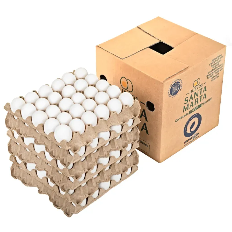 Carton de Huevos