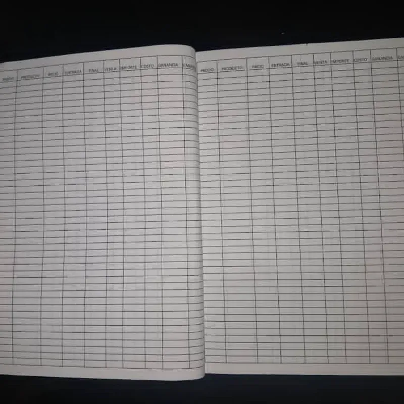 Agenda IPV: Éxito Personalizado