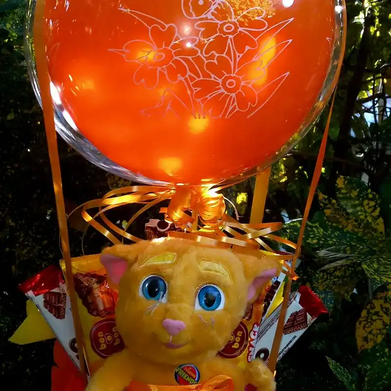 Combinación peluche chuches .