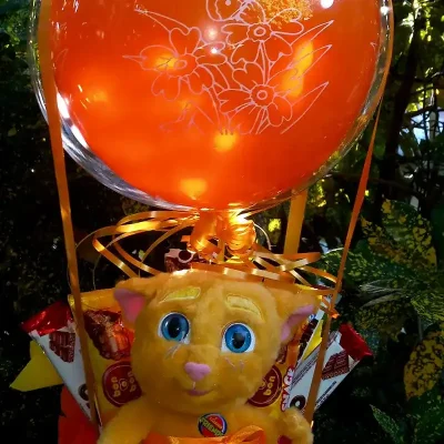 Combinación peluche chuches .