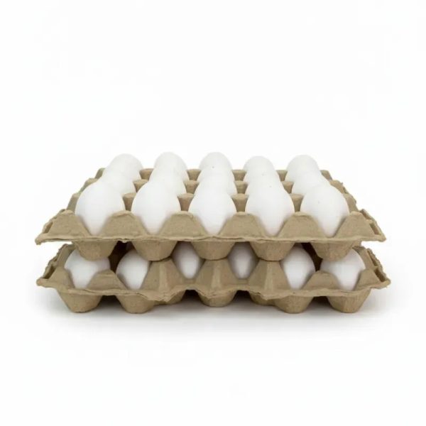 Huevos blancos