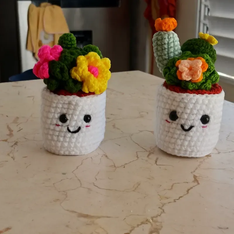 Maceticas con flores