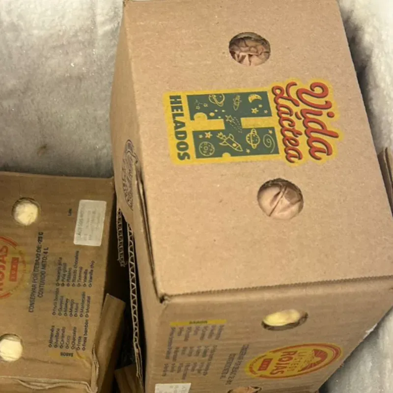 Caja de helado Vida lactea 4 litro