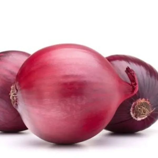 CEBOLLA