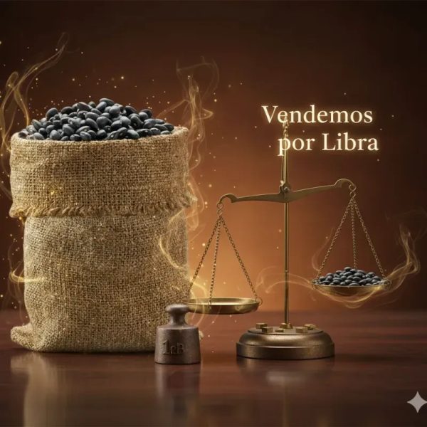 Frijol negro