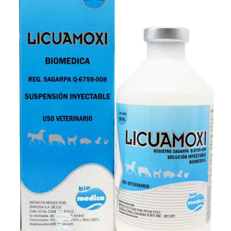 Licuamoxi de 100 ML