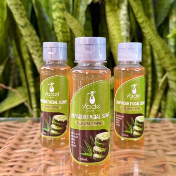 Limpiador de Aloe Vera y Pepino 120ml