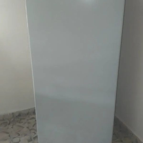 Nevera vertical