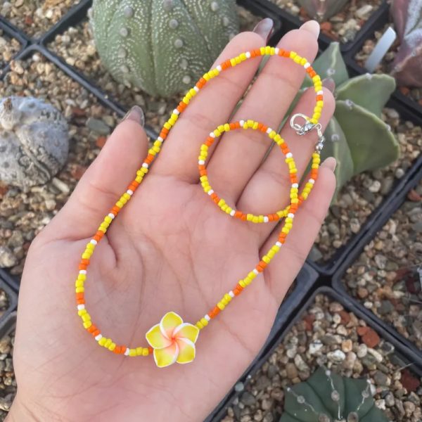 Collar de cuentas y plumeria