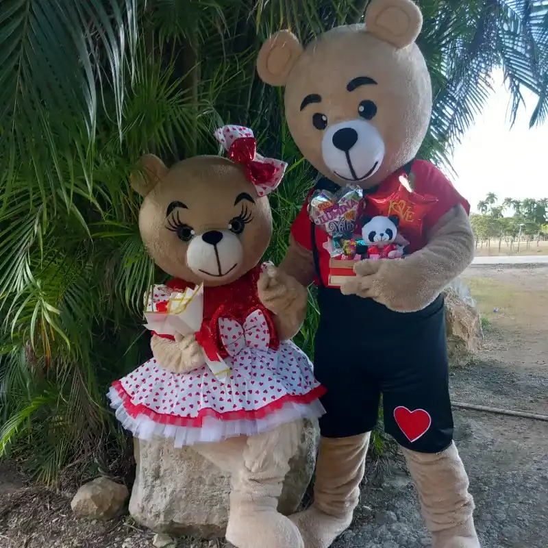 Pareja de ositos en rojo