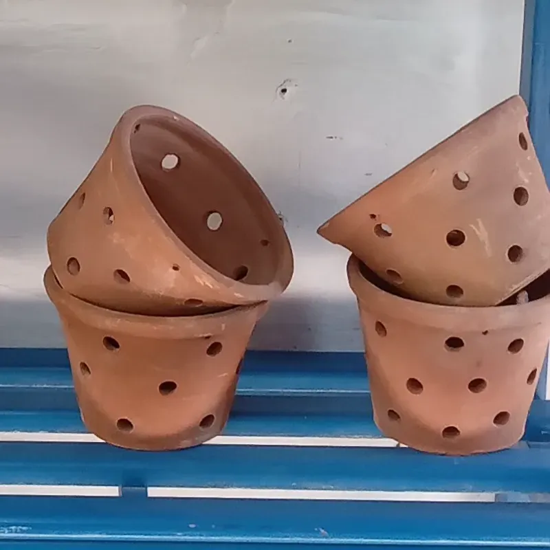 Maceta para orquideas