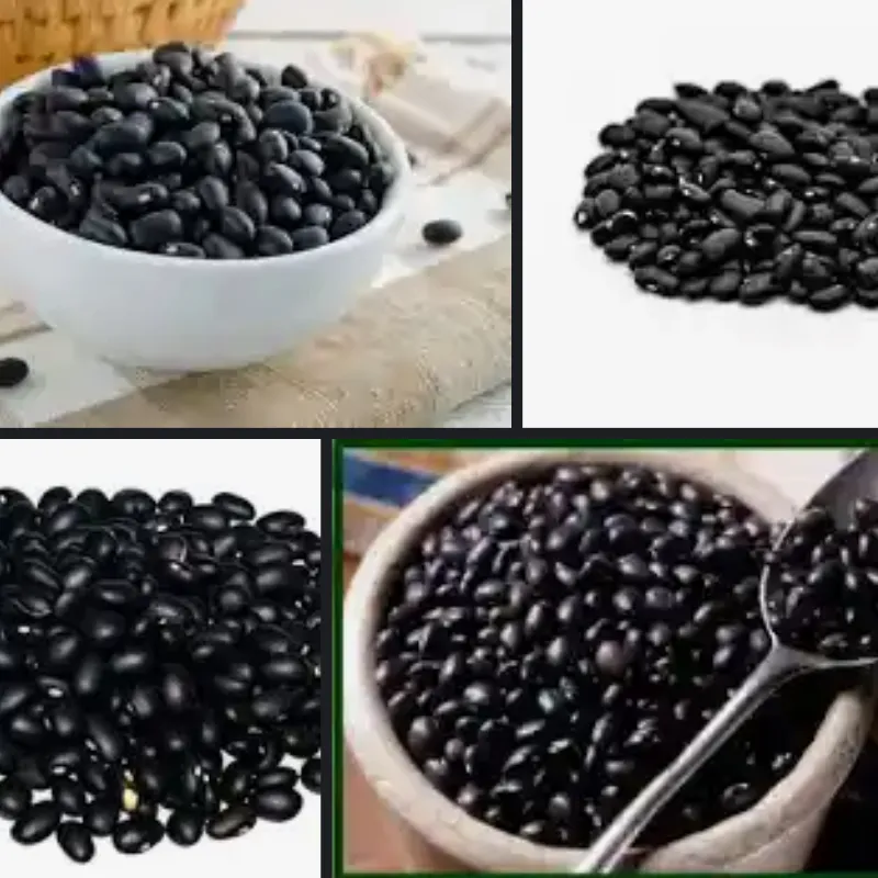 Frijol negro
