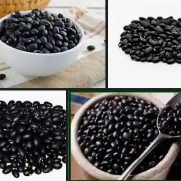 Frijol negro