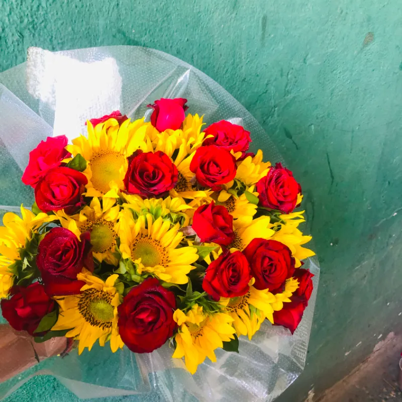 El favorito De la casa