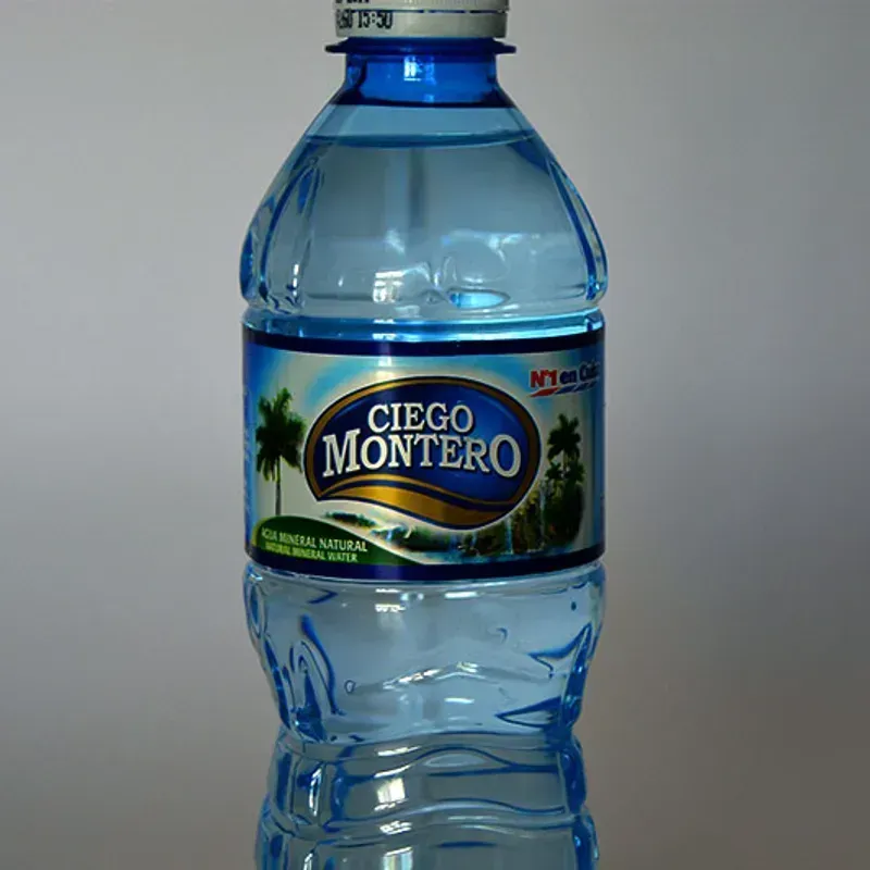 Agua Natural Ciego Montero 500ml