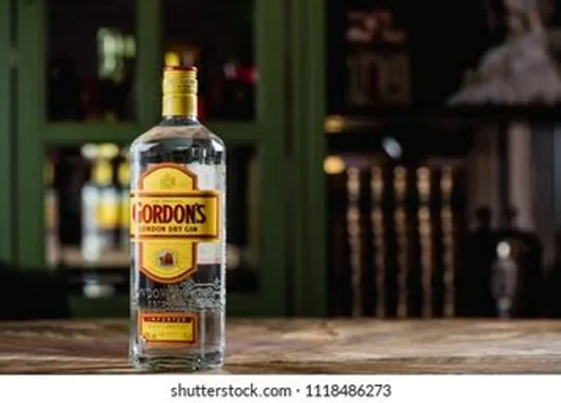 Gordons Gin