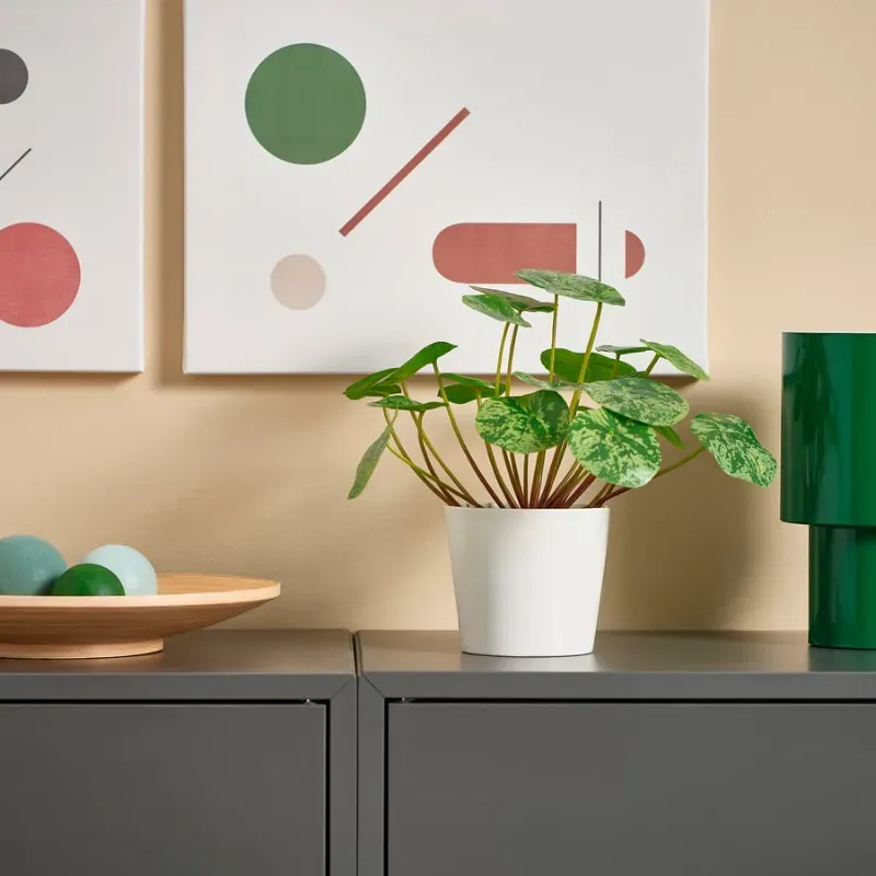 Maceta artificial tipo pilea