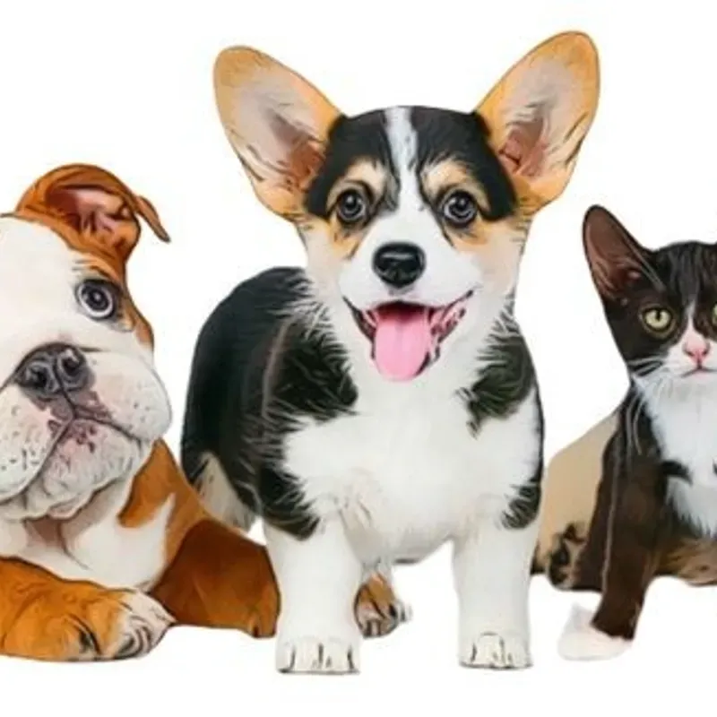 Animales