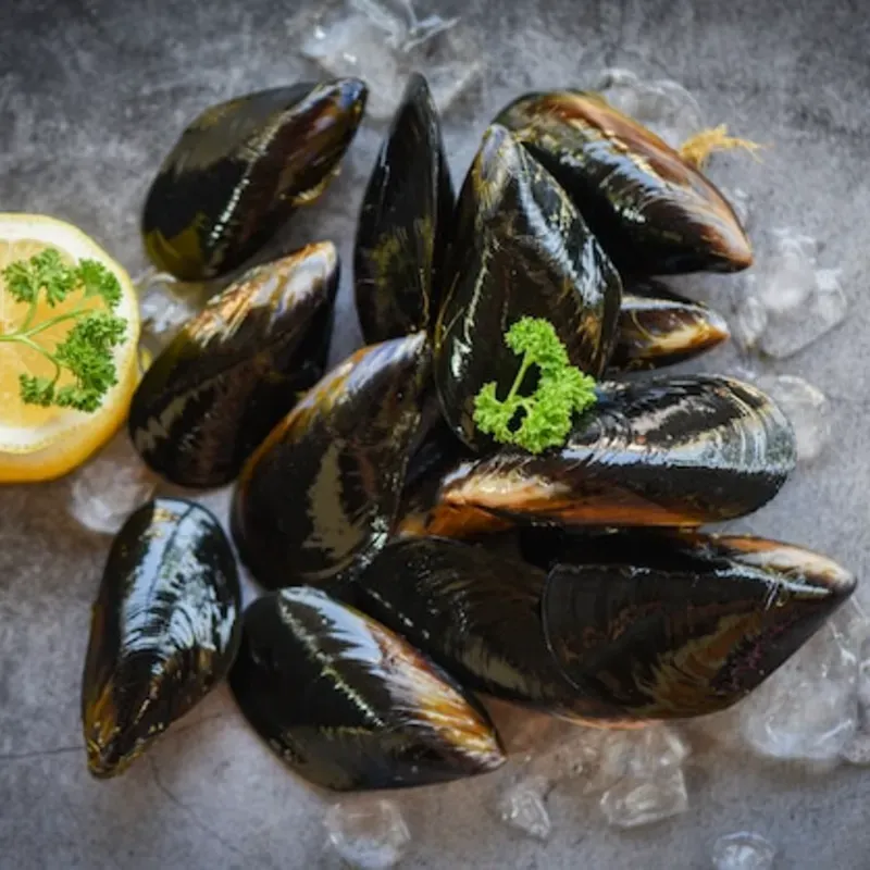 MEJILLON ENTERO GOURMET C/10 KG 1000174 PRECIO 6.90