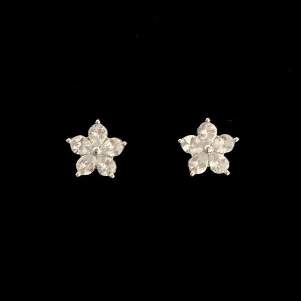 Aretes 316