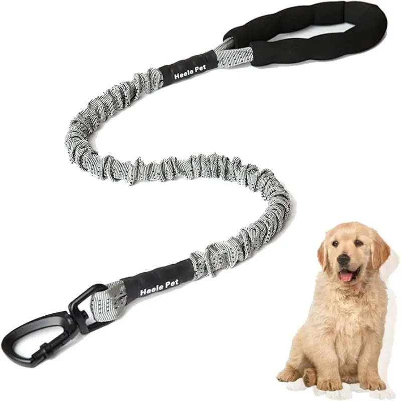 60957 Correa para perros