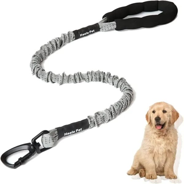 60957 Correa para perros