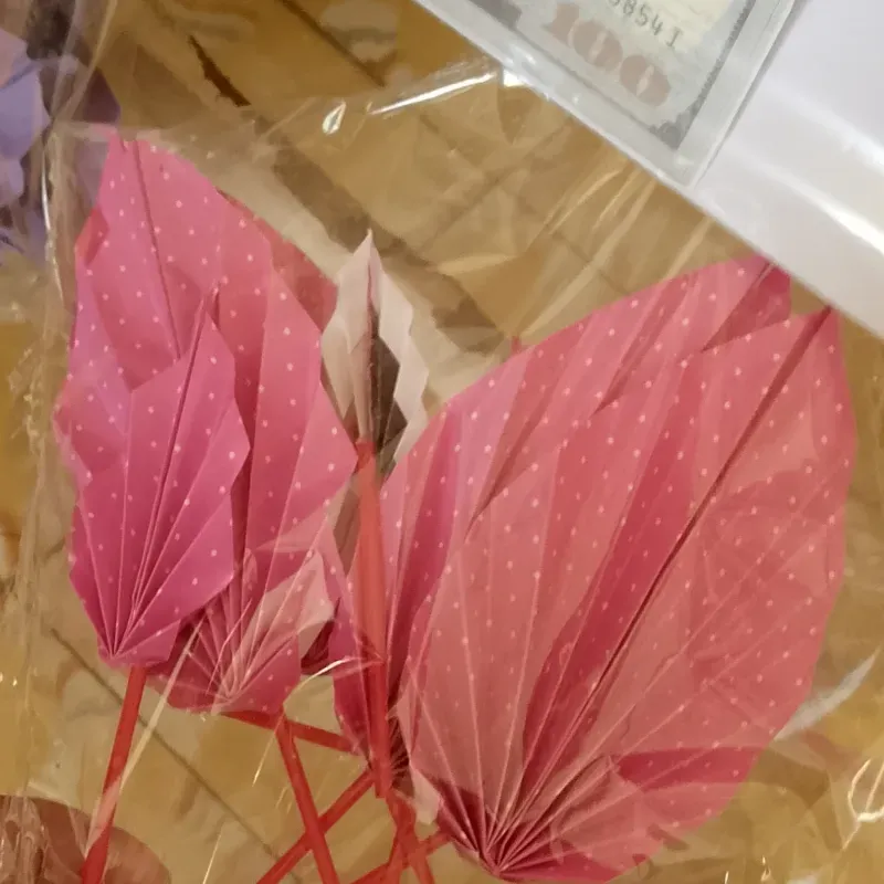 Set de abanicos rosa