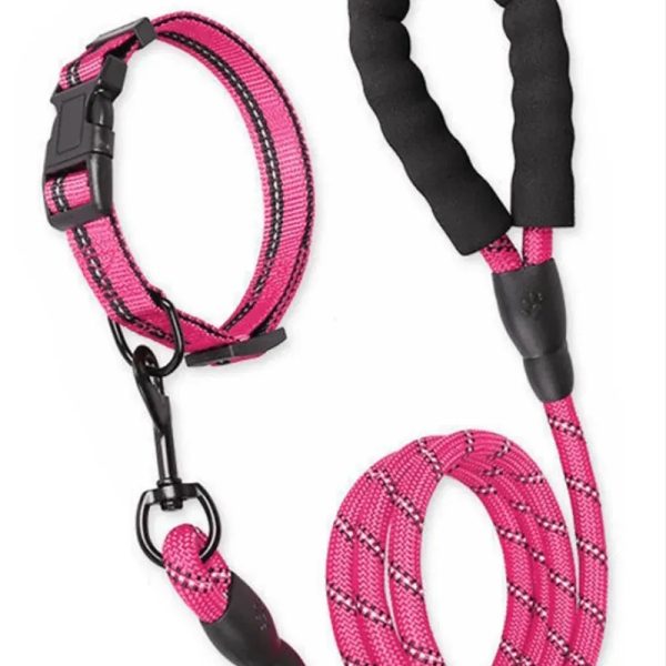COLLAR + CORREA