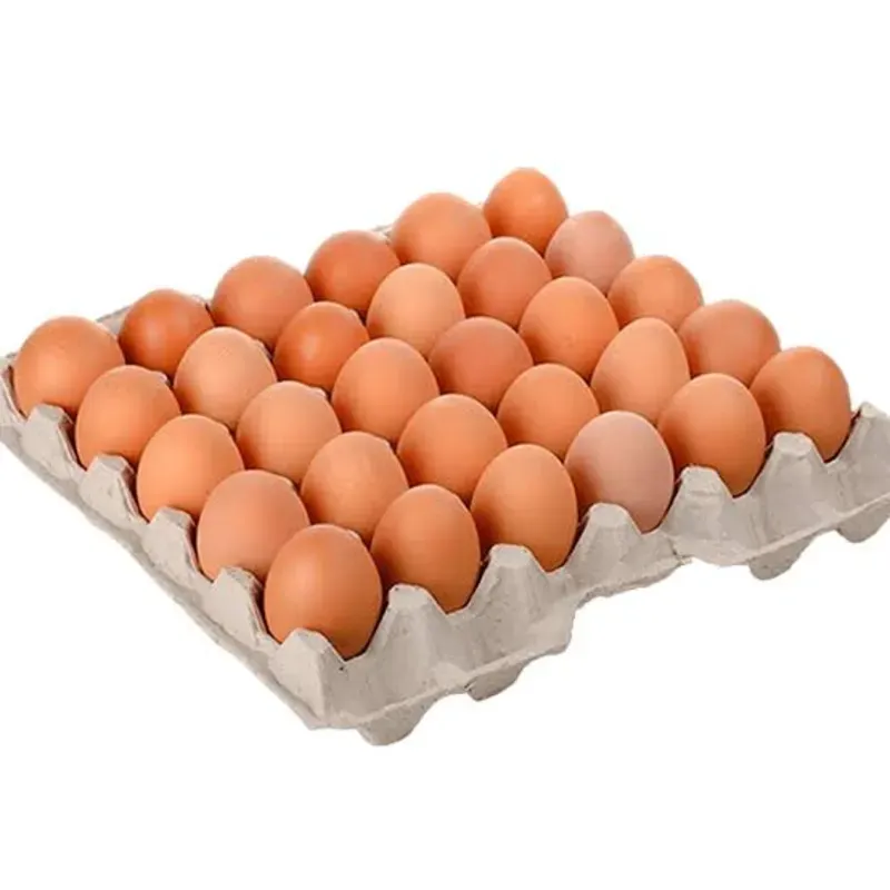 Fil de huevos colorados importados