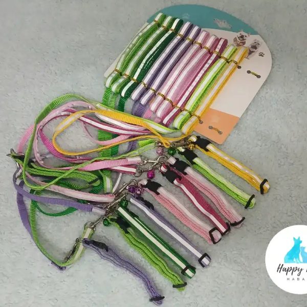 Collar y Correa