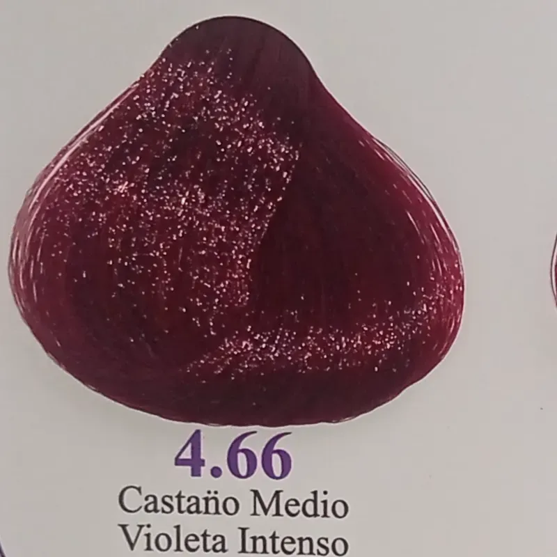 4.66 castaño medio violeta intenso
