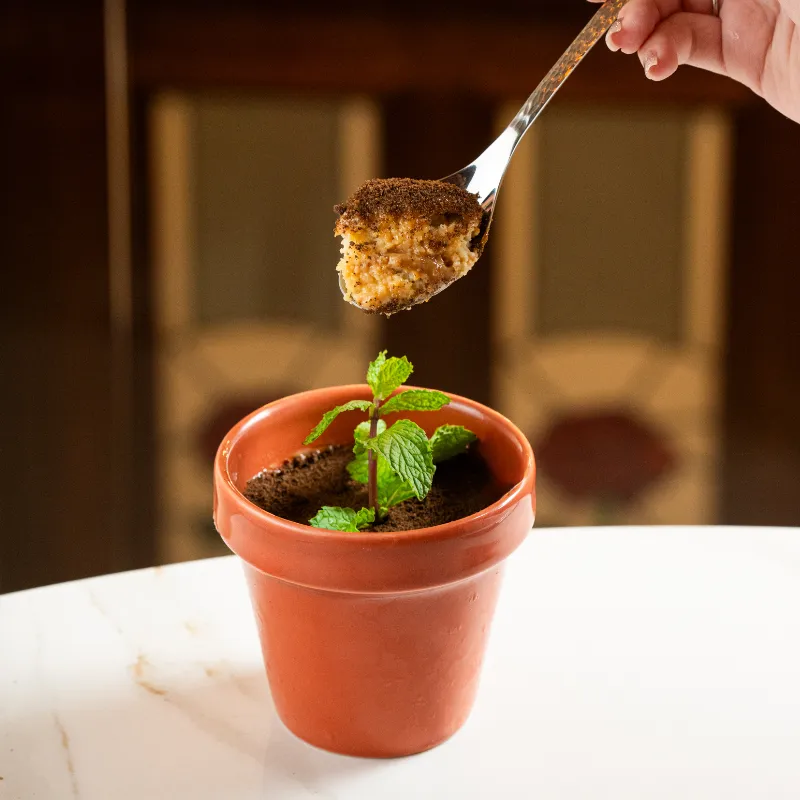 Maceta de Fanguito al Tres Leches