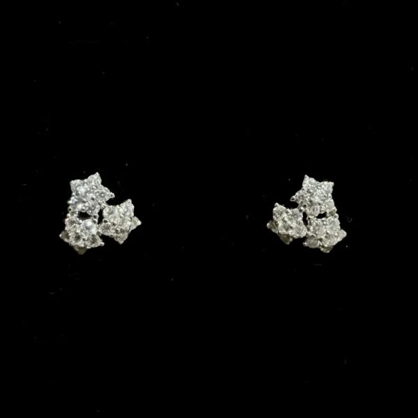 Aretes 321