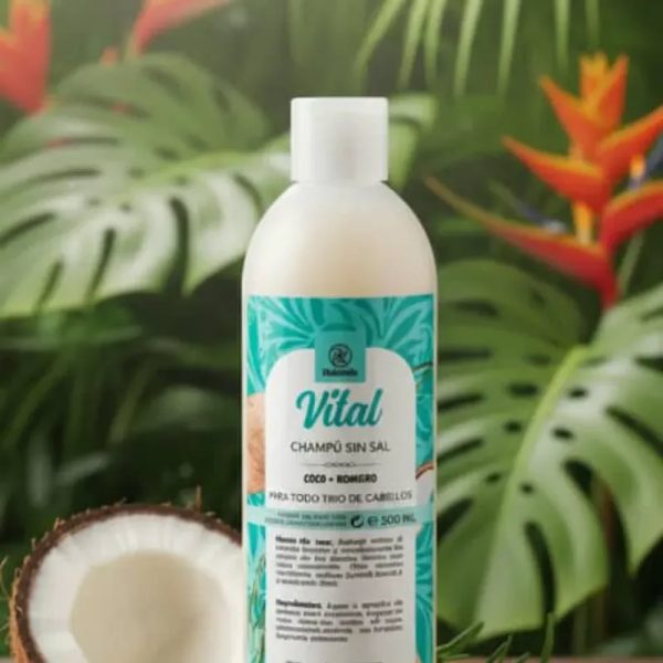  SHAMPOO DE COCO Y ROMERO