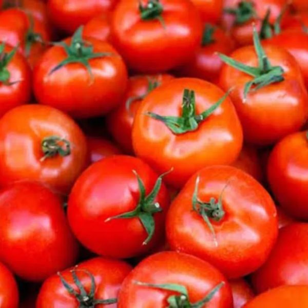 Tomate