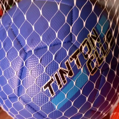 Pelota de futbol tinton