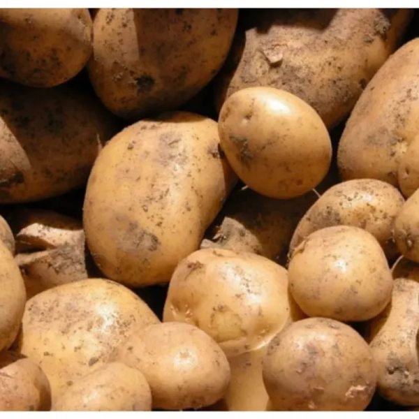 Bolsas de Papa