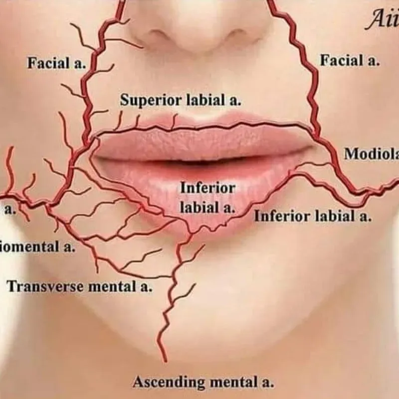 Curso de ácido hialurónico y armonización facial