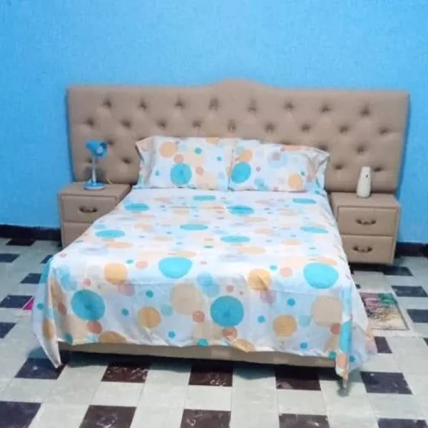 Alquiler 417 (2)
