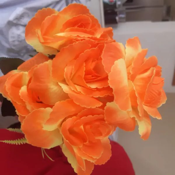Flores