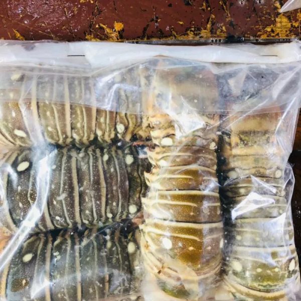 Langosta 2lb