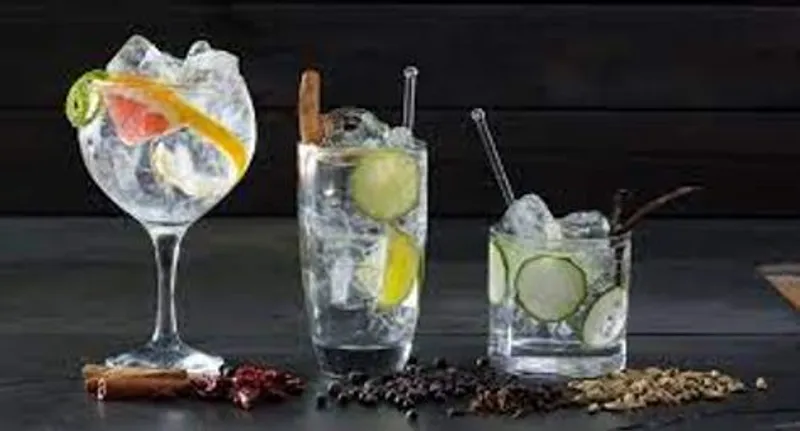 Gin & Tonic