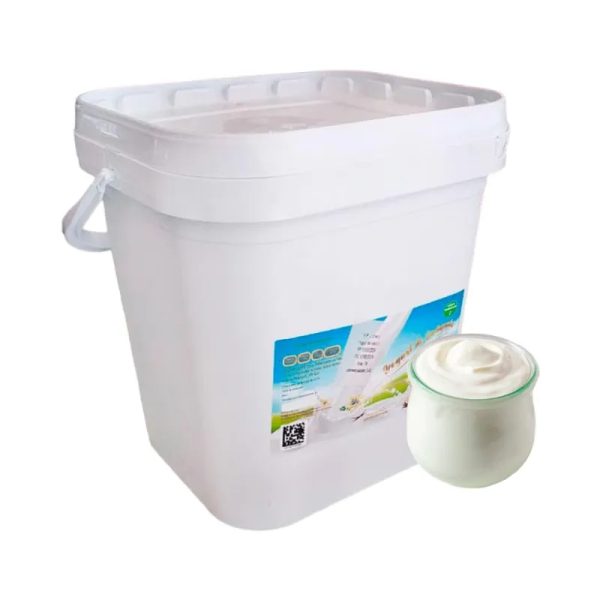 Yogurt Natural