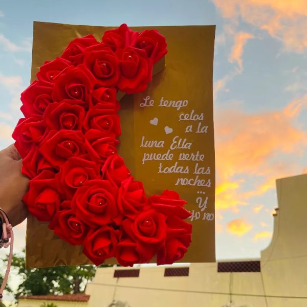 ✨Media Luna de Rosas✨