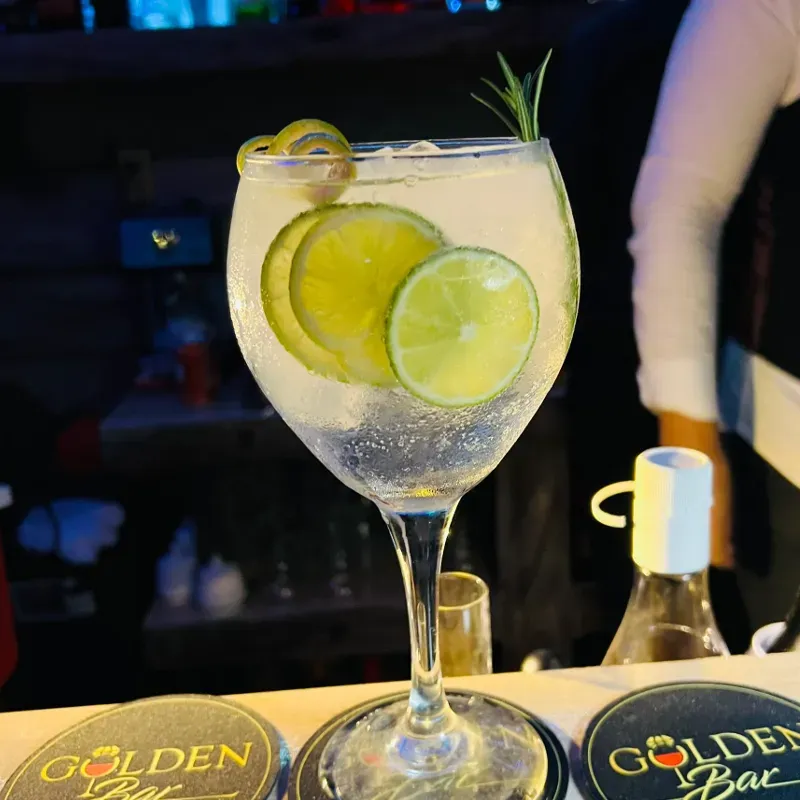 Gin Tonic con ginebra Beefeater