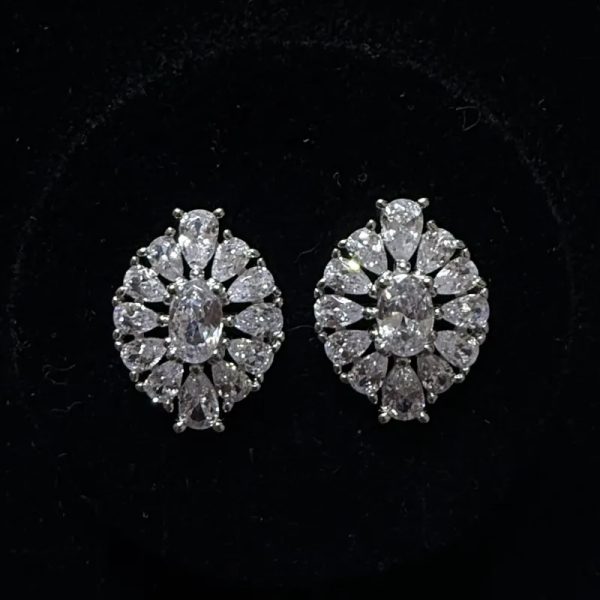 Aretes 310